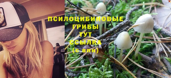 дурь Заволжье
