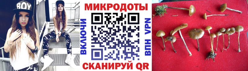 mega ссылки  Сковородино  Псилоцибиновые грибы ЛСД 